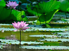 我们才不会正在贪得无厌中为中的魔鬼；才能让